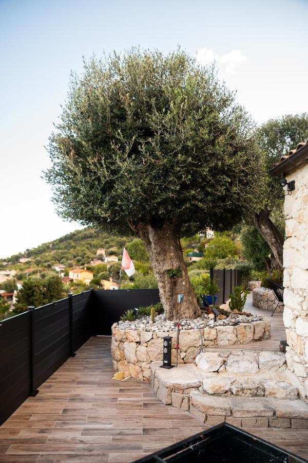 Le Petit Jardin Exotique Vila Beausoleil Exterior foto